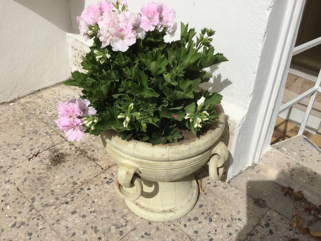 Case Vacanze Le Rose Villa Noto Luaran gambar